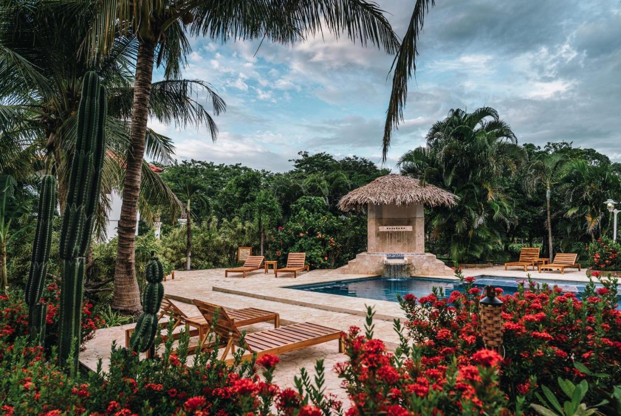 Drift Away Lodge ปลายา อาเบญานา ภายนอก รูปภาพ